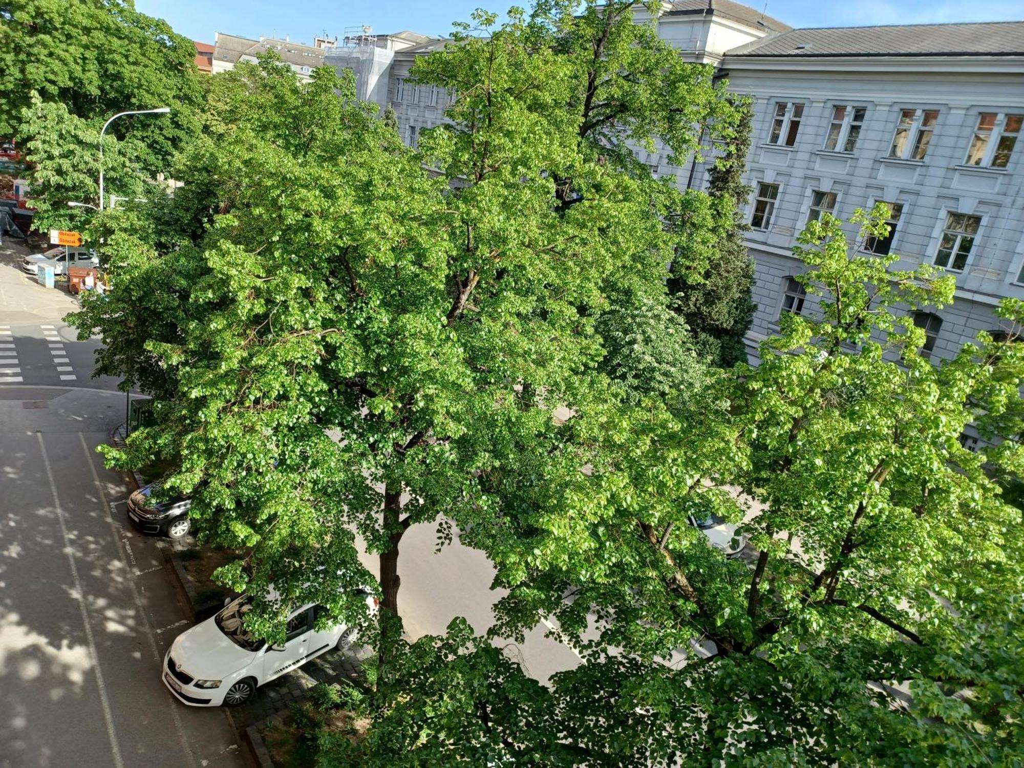 Apartment Theatrum Zagreb Luaran gambar